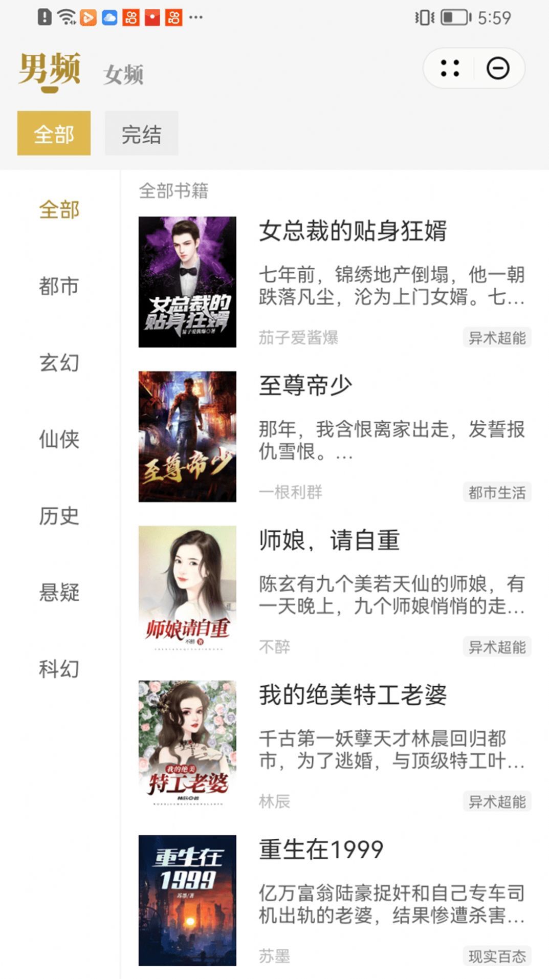 顽石小说图2