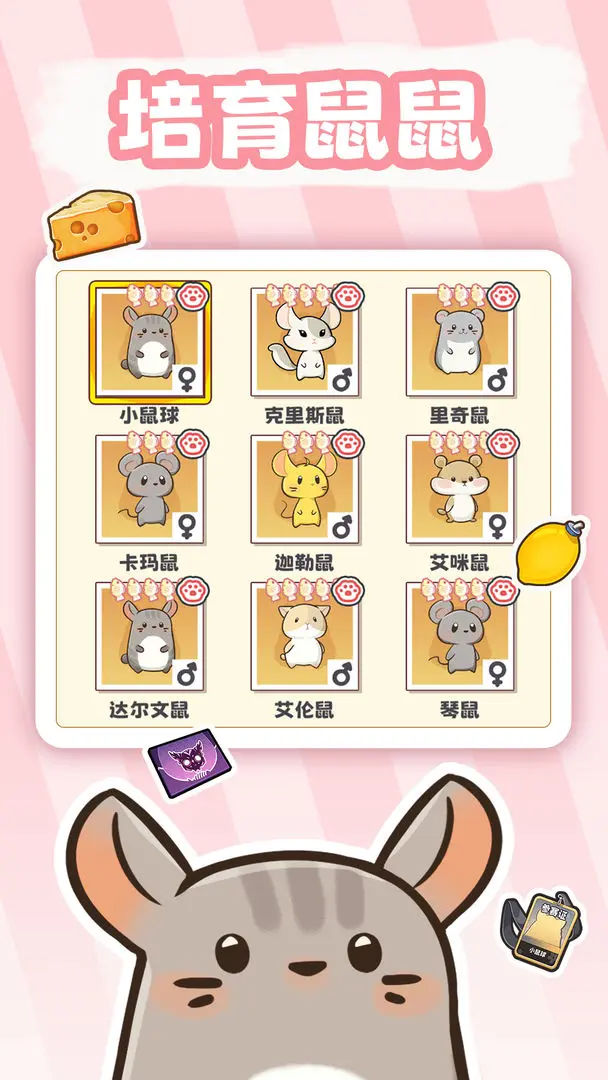 社会我猫哥手机正版截图3