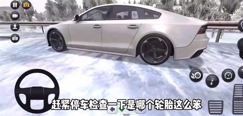 终极卡车模拟器正版图3