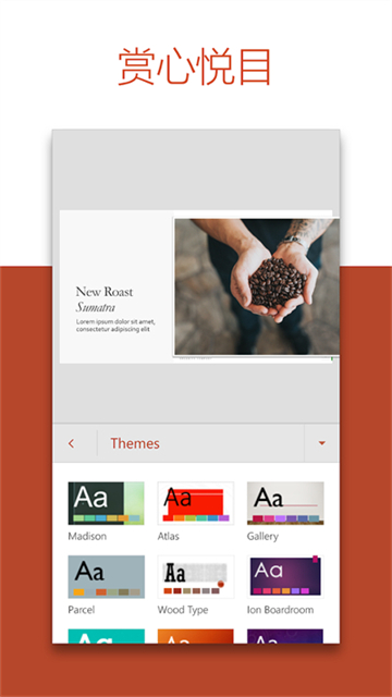 Microsoft PowerPoint图3