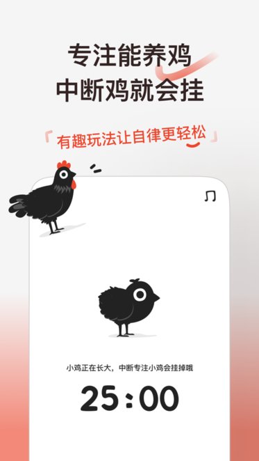 小鸡专注(2)