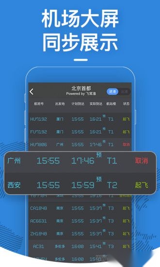 飞常准手机版图2