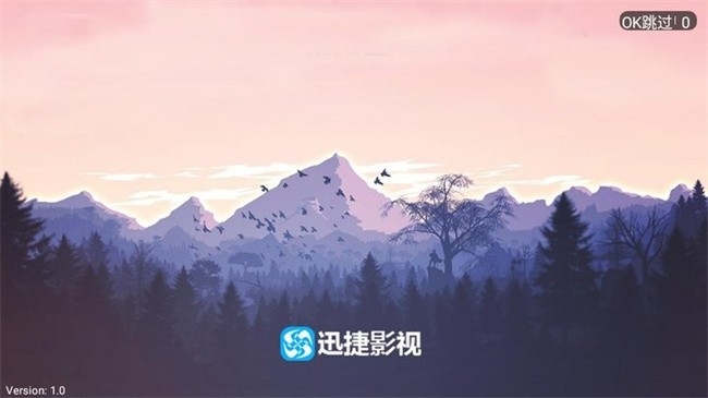 迅捷影视安卓版(2)