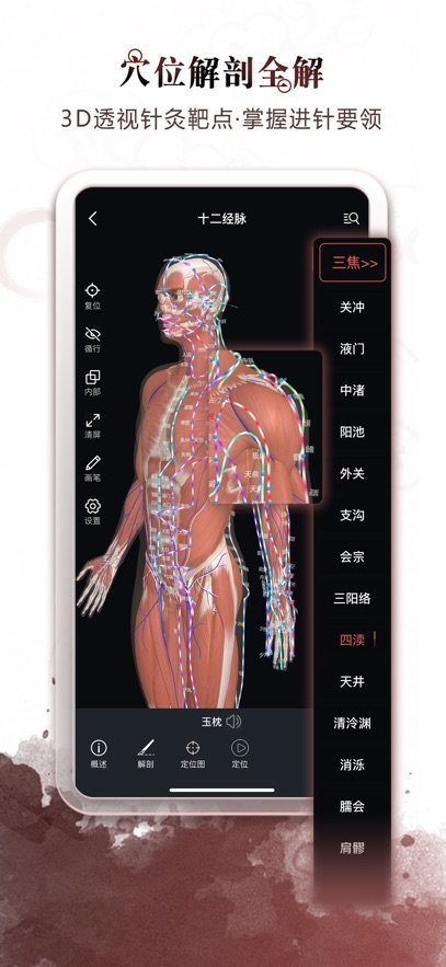 中医经络穴位免费原版图2