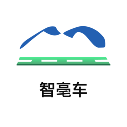 智亳车手机版