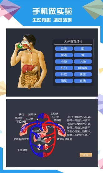 土豆生物软件图1