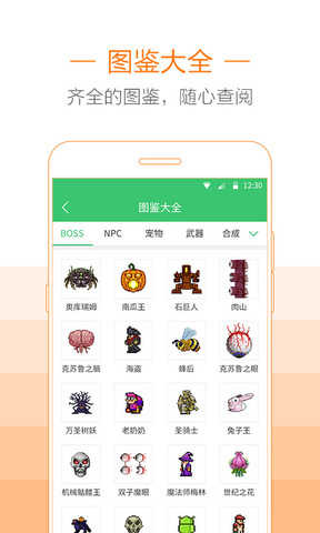 泰拉瑞亚助手最新版图4