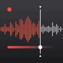 录音大师助手