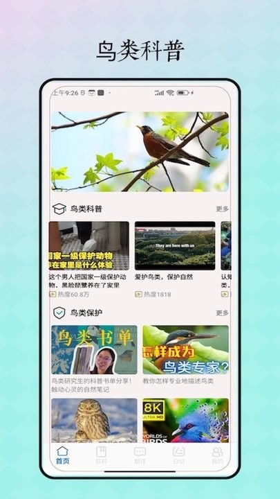 鸟语翻译器免费版图3