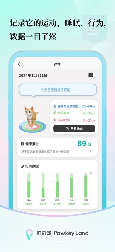 帕奇宠最新版图2