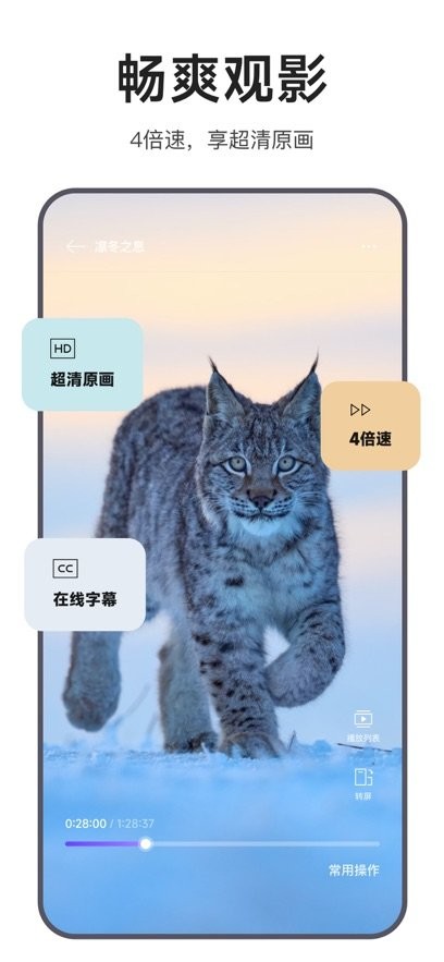 迅雷浏览器手机版图2