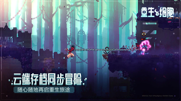 死亡细胞