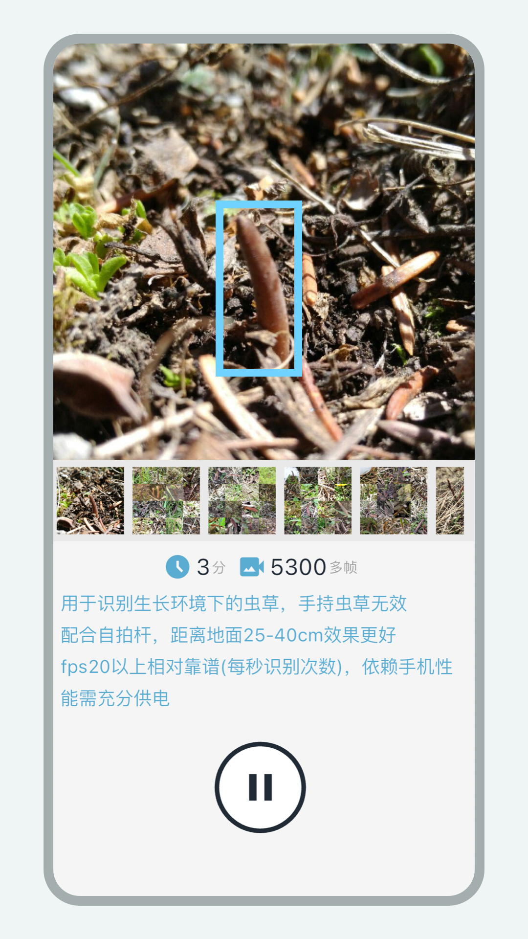 乐见虫草图2