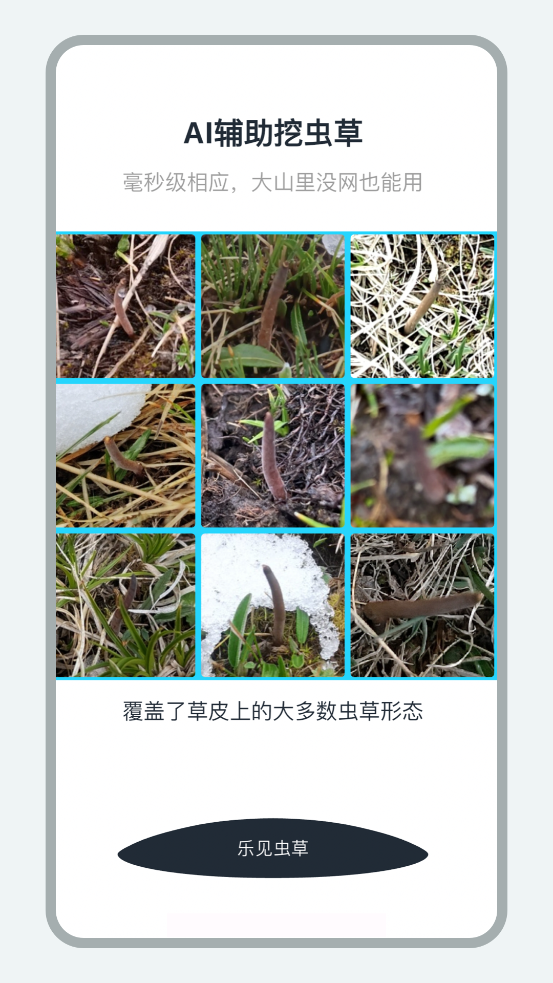 乐见虫草图3
