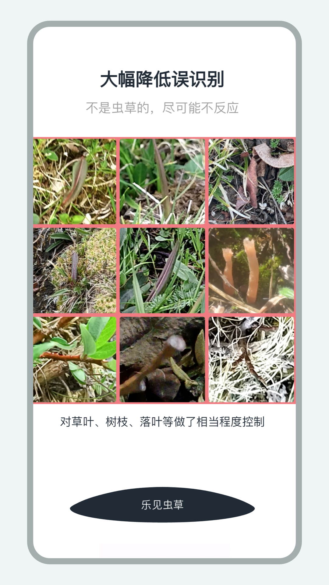 乐见虫草图4