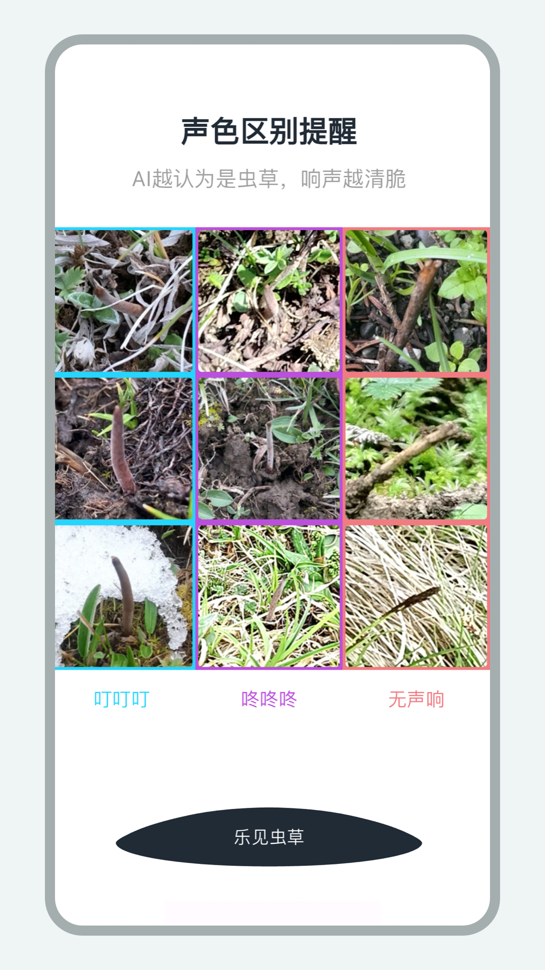 乐见虫草图5