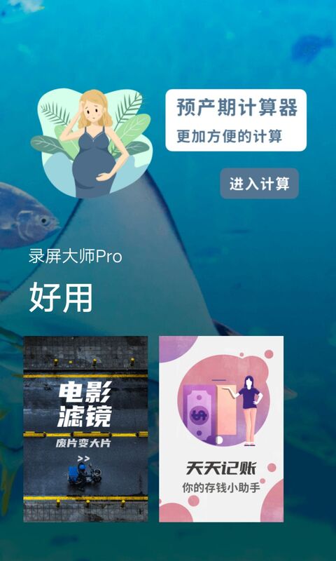 录屏大师Pro(3)