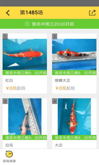 拍鱼网图3