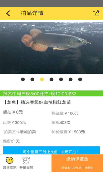 拍鱼网图5