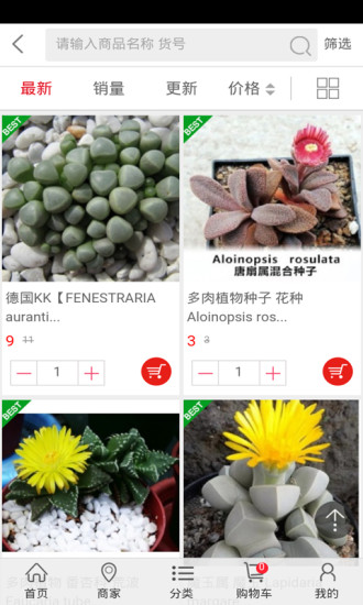 多肉植物