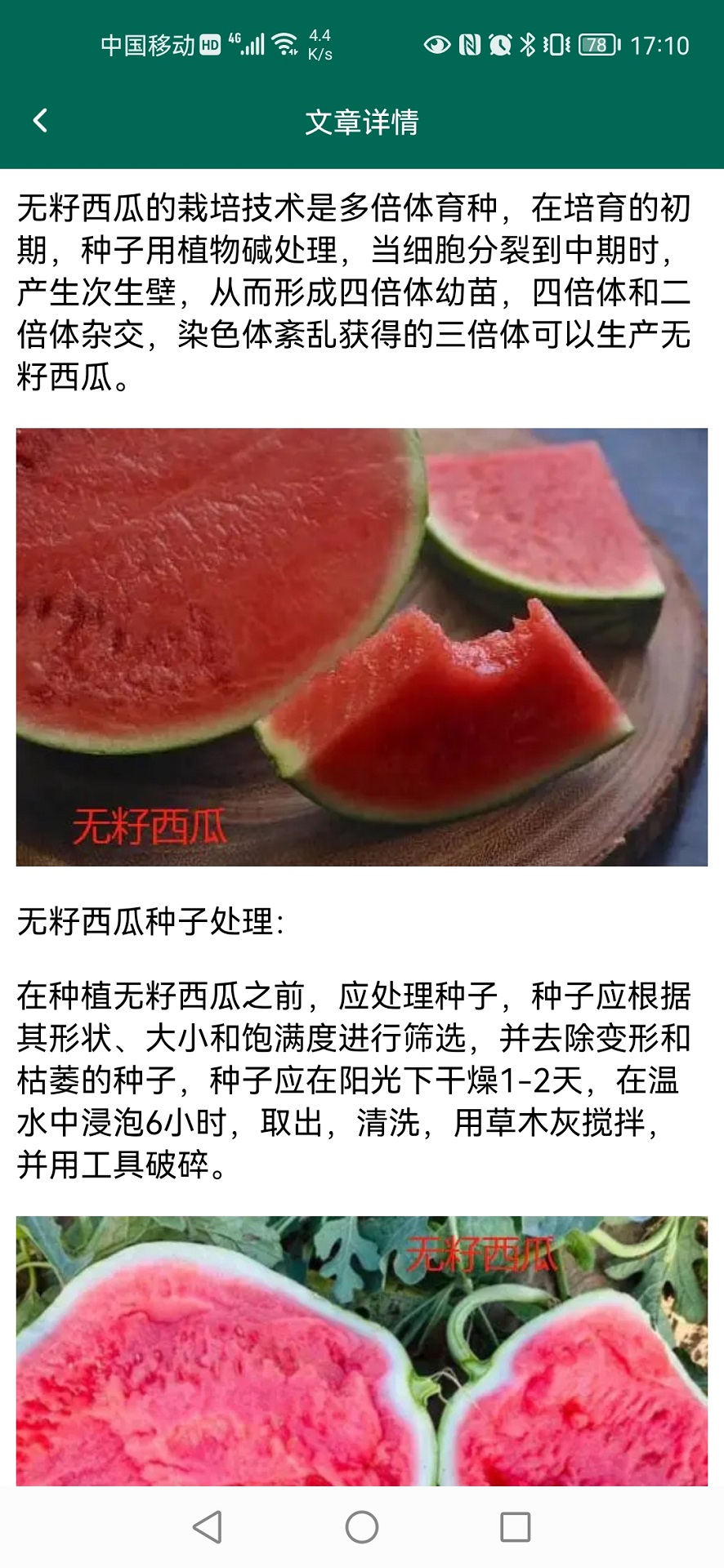西瓜庄园图3