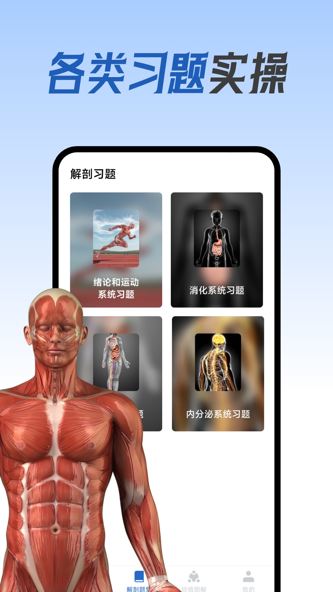 人体解剖图集图2