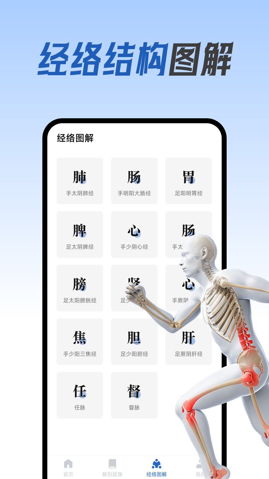 人体解剖图集图4