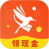 青鸟快讯手机最新版