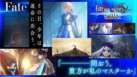 fatestaynight游戏完整版图5