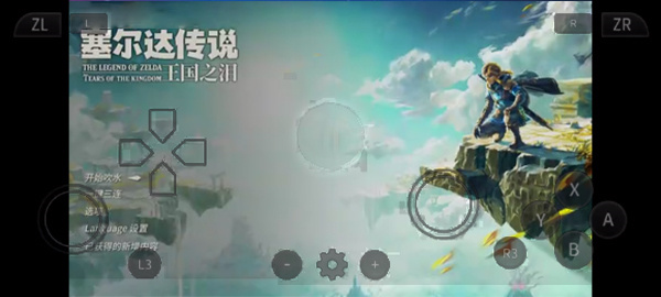 呆萌switch模拟器图5
