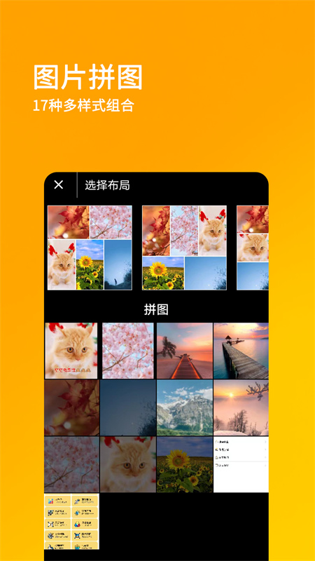 刷圈兔正版图4