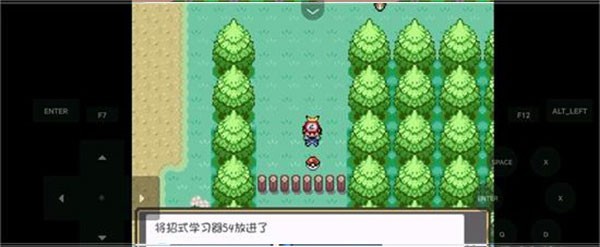 口袋妖怪燃之智手机正版图1