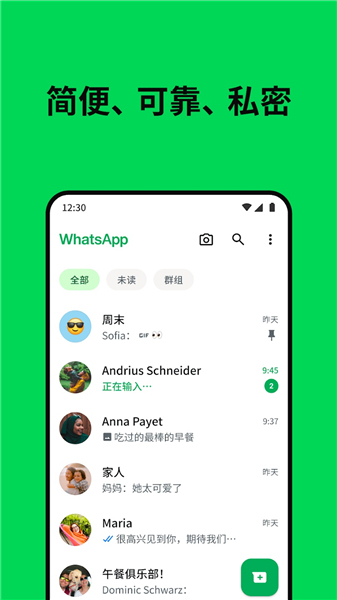 WhatsApp国际版图2