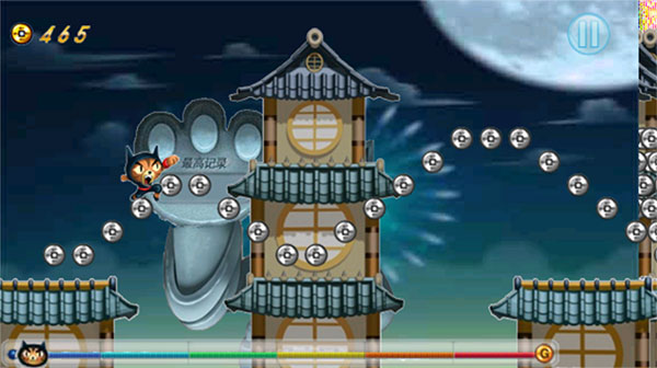 Temple Cat Run(2)