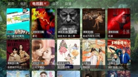 苦瓜TV图4