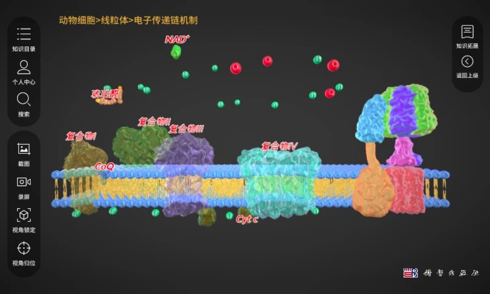 细胞生物学3D资源库系统官方版图2