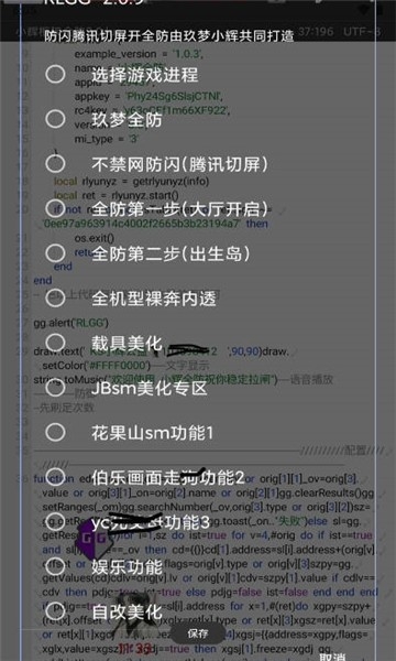 小辉全防最新版图2