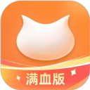飞猫盘官方版