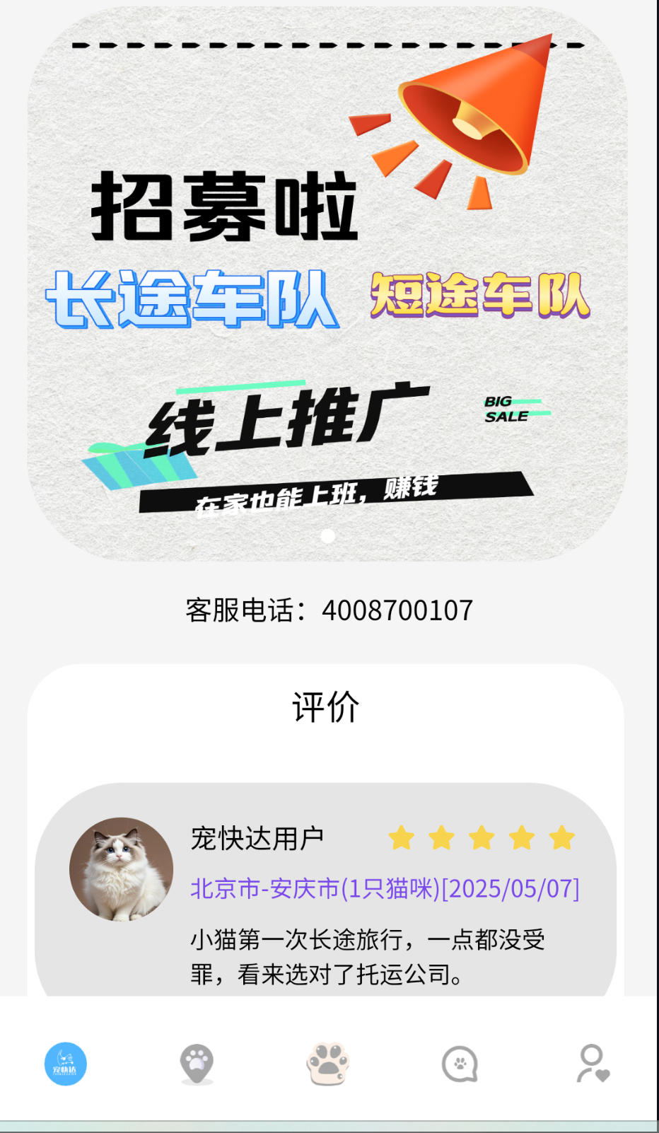 宠快达最新免费版图3