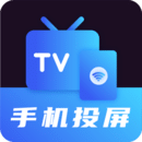 投屏 