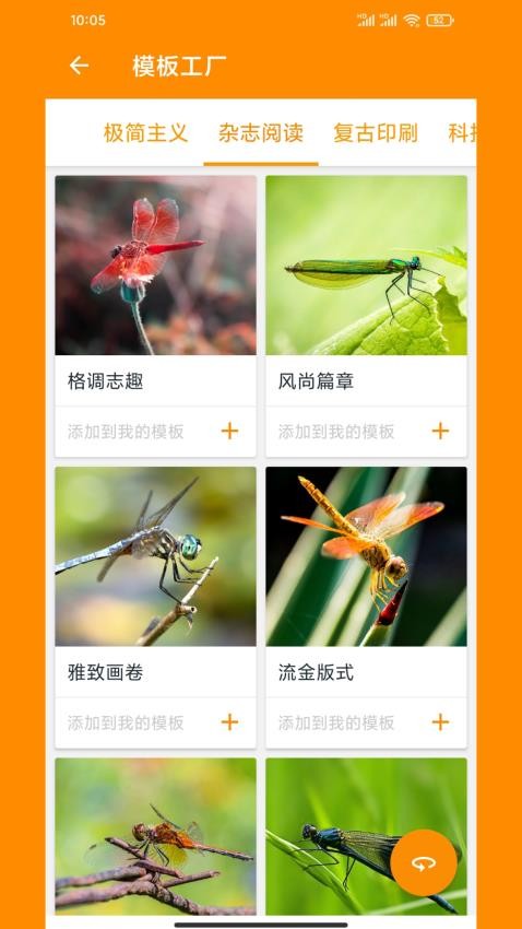 极简排版图1