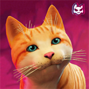 流浪猫模拟器中文版