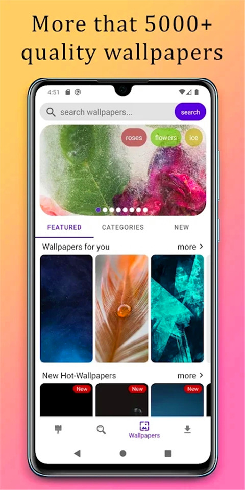 华为主题图3