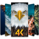 手机4K壁纸 V1.0.6