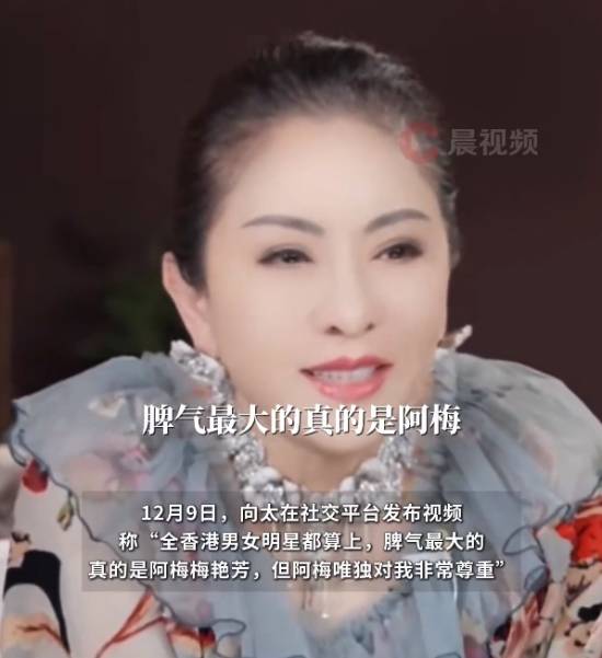 向太称港星里脾气最火爆的当属梅艳芳，不过对方唯独对自己十分敬重
