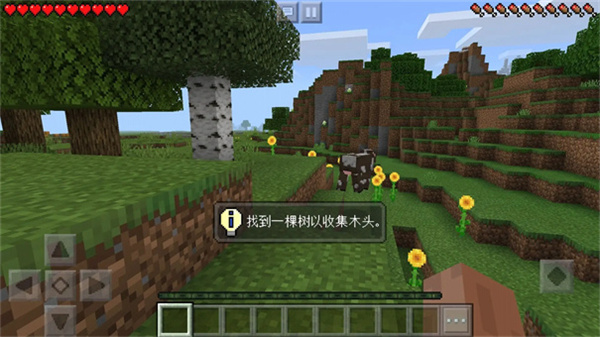 我的世界beta版(4)