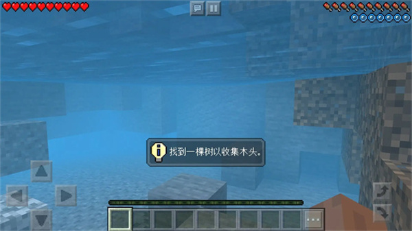 我的世界beta版(3)