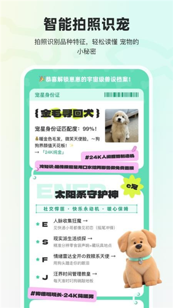 宠拍档手机版图1