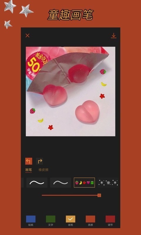 Coco Cam图1
