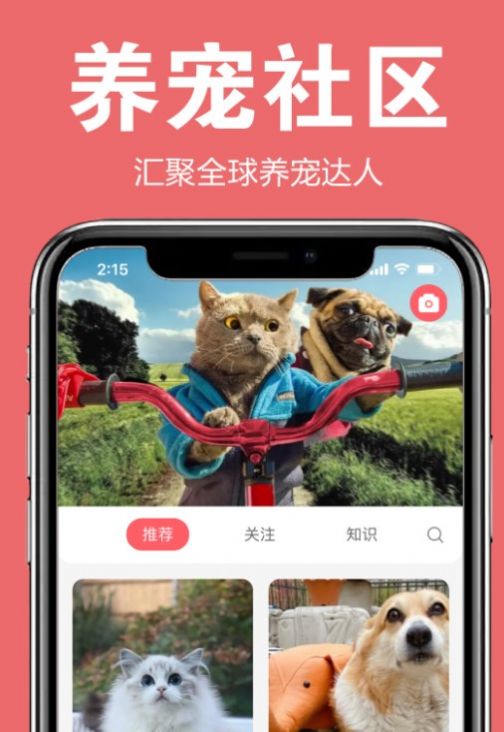 宠可爱图4